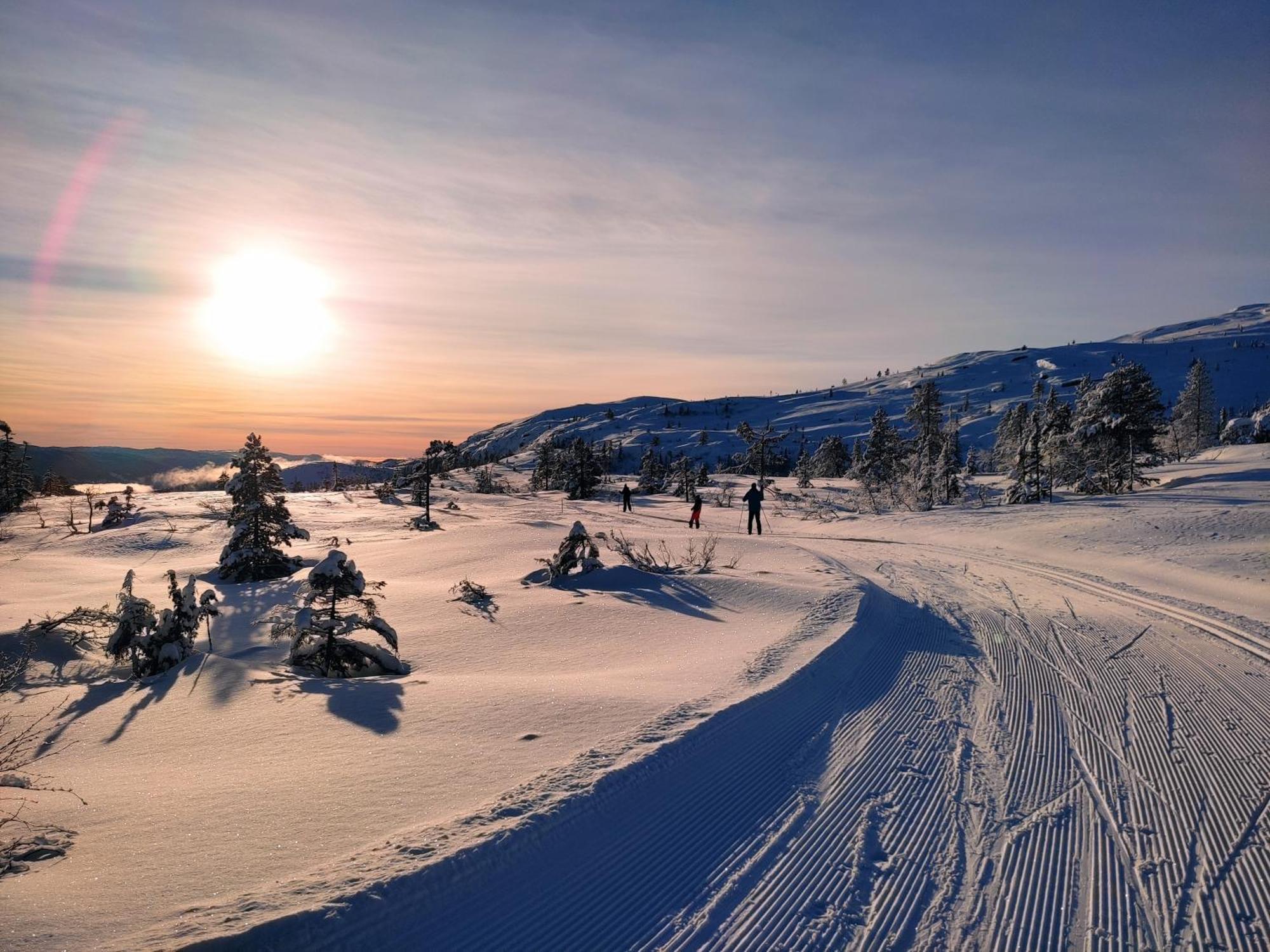 Hytte Ved Vravatnet I วราดาล ภายนอก รูปภาพ