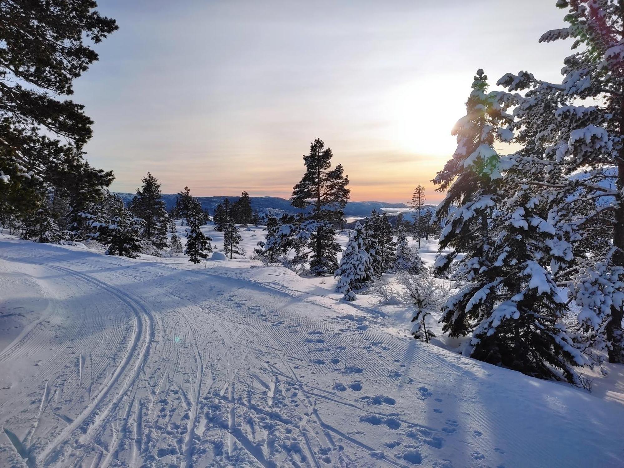 Hytte Ved Vravatnet I วราดาล ภายนอก รูปภาพ